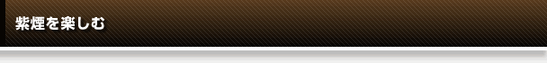 紫煙を楽しむ